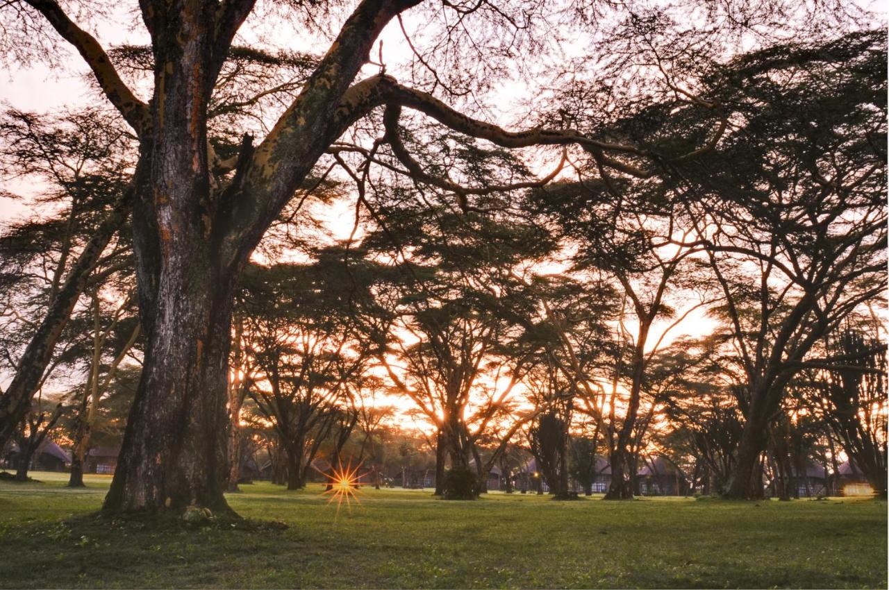 Lake Naivasha Sopa Resort Exteriör bild